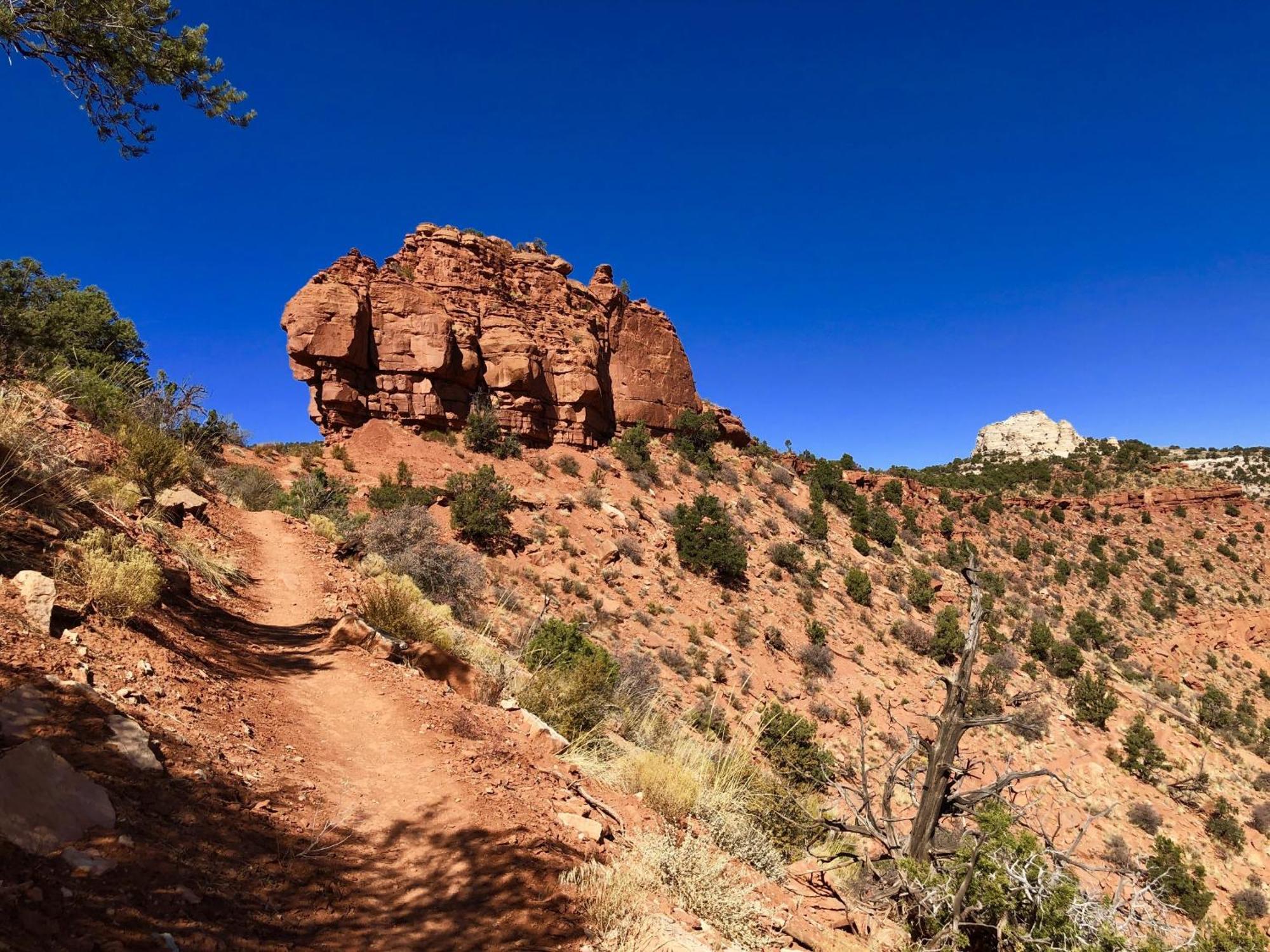 Luxury Pet Friendly Holiday Home La Estancia Kanab Exterior foto